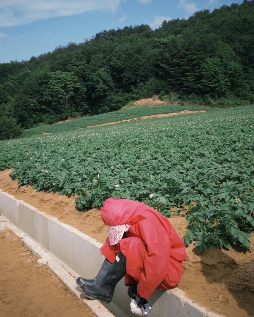 본문 이미지