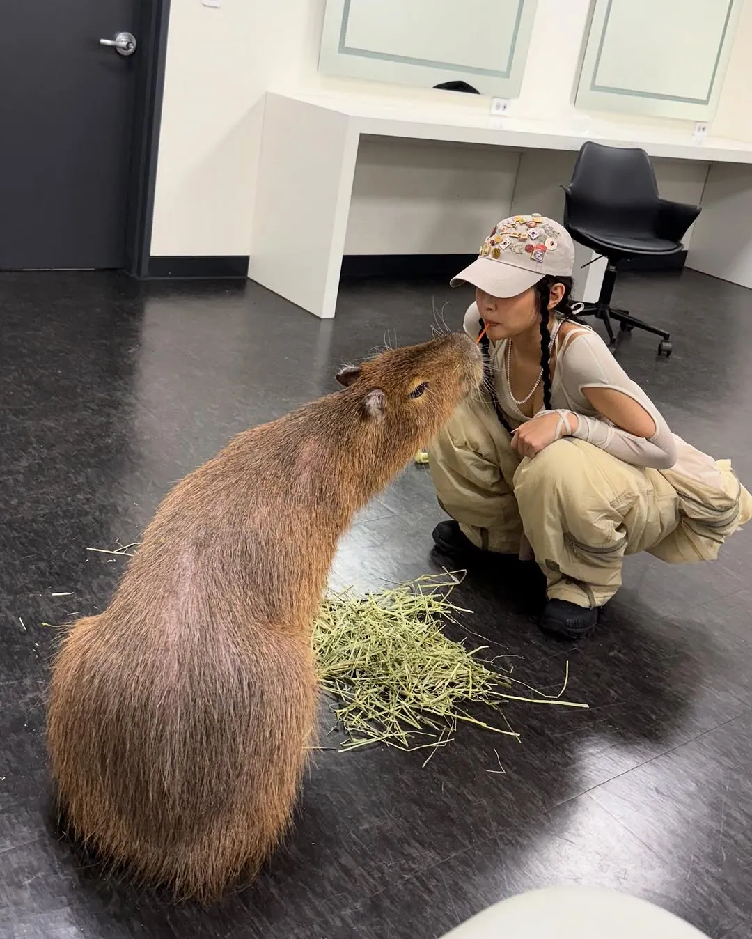 1.jpg 제니 뮤비에 등장한 카피바라