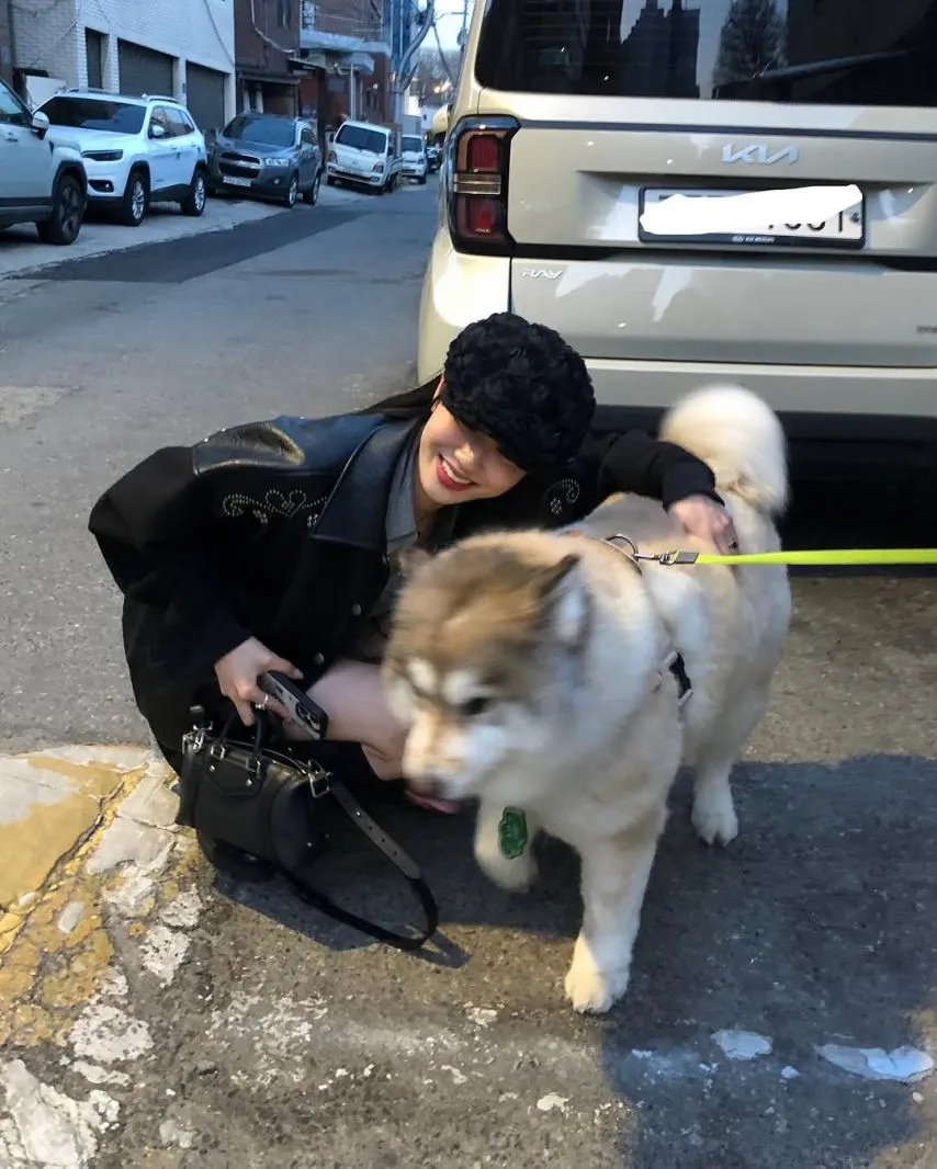 본문 이미지