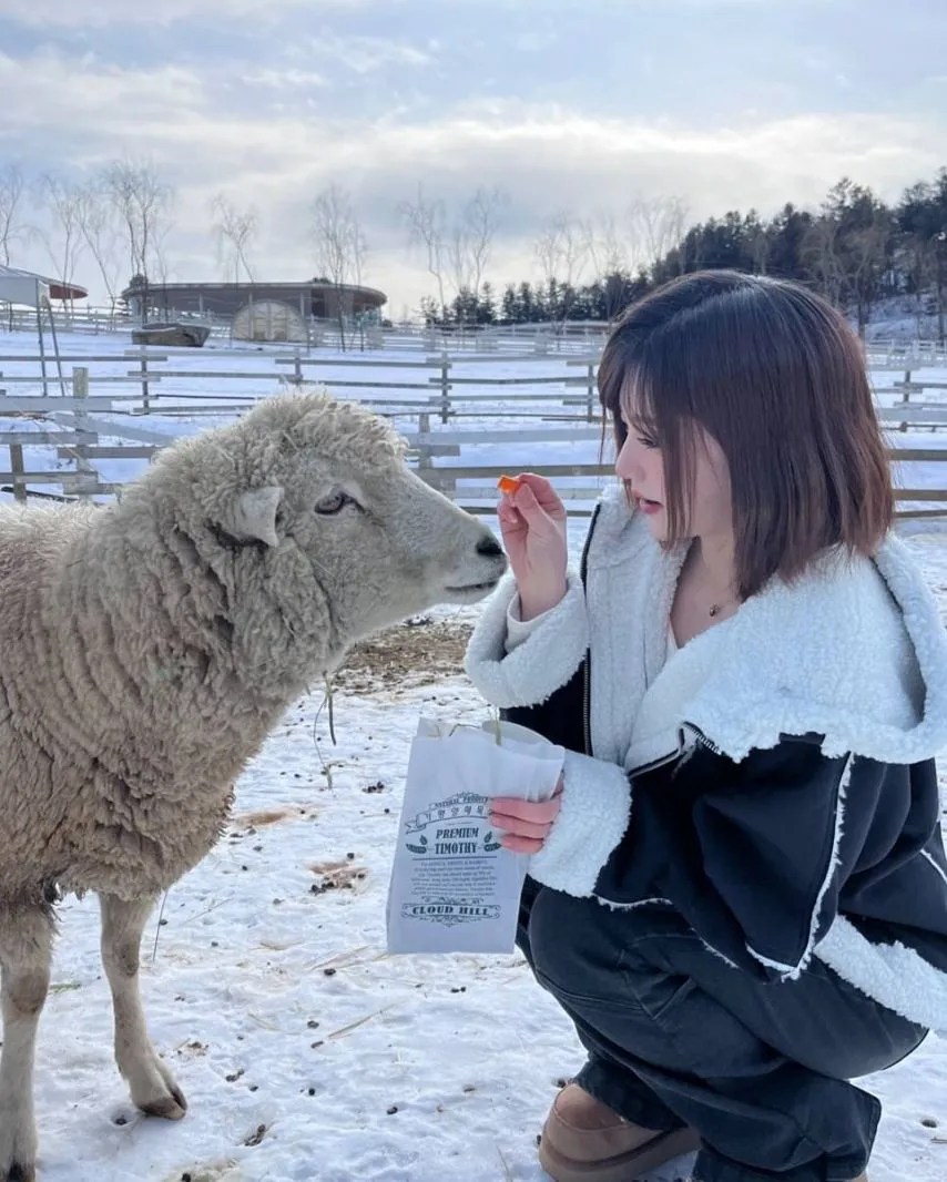 본문 이미지