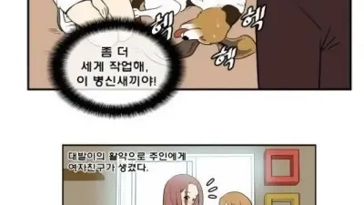 여친 만들어준 비글의 최후