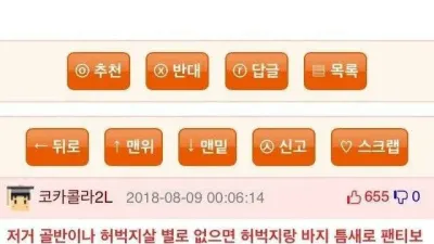 돌핀 팬츠 입을때 속옷 입냐?