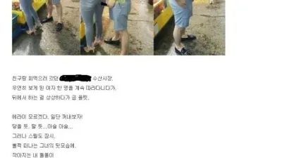 그 때 그 시절.. 소라넷 노빠꾸 레전드